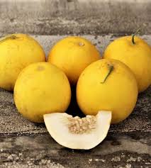 Image result for Cucumis melo