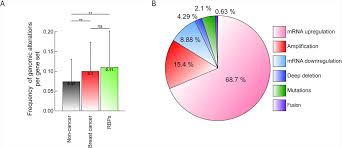 In Silico Analyses Reveal New Putative Breast Cancer Rna Binding Proteins Biorxiv