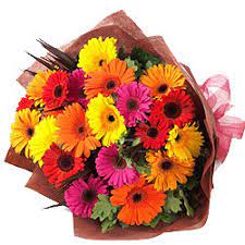 Send Gerbera To Bangalore Online Gerbera Bouquet Delivery Low Cost
