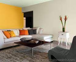 Asian Paints Inspiration Wall