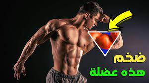 New Video By مهووس عضلات كمال الاجسام On Youtube أقوى 16 تمرين لتضخيم عضلة البايسبس بسرعة تمارين الباى أقوى 14 تمرين لتضخيم ع Youtube Movie Posters Movies