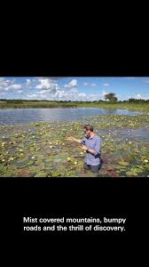 Image result for Chaseella pseudohydra