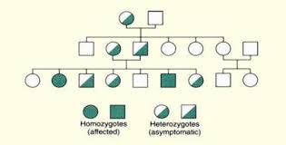 Recessive Inheritance Genetics Generation