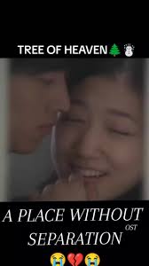 Treehouse Shun and Aren