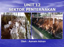 Industri ayam merupakan industri yang besar dijalankan di malaysia dengan sebanyak 225,789,620 ekor di ternak pada tahun 2010. Unit 12 Sektor Penternakan Dan Perhutanan Flip Ebook Pages 1 31 Anyflip Anyflip