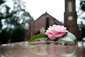 I am deeply saddened by the news of your loss! 115 Sympathy Messages For Cards Or Flowers Southern Living