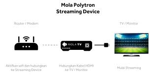 Dengan menggunakan aplikasi ini kalian akan bebas menonton tayangan sepak bola dari tim favorite kalian. Nonton Premier League Di Molatv Tomi Purba