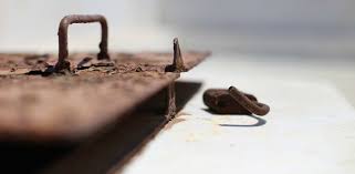 Kıyafetlerdeki pas lekesi nasıl çıkar sorusunun yanıtı bu yazımızda. Pas Lekesi Nasil Cikar Ozkimsan