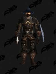 Let's say you live in a fantasy setting, but no, you aren't having it easy. Paladin Witch Hunter Outfit World Of Warcraft