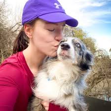 AUSTIN SHELTIE RESCUE