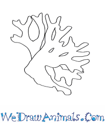 Find the places where the fire would flow up from under the logs and add lines to indicate it twisting with the wind. How To Draw A Fire Coral