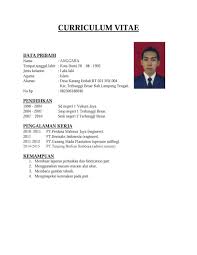Contoh biodata penulis memang beragam bentuk, tergantung dari pemakaiannya seperti apa. Contoh Curriculum Vitae Skripsi