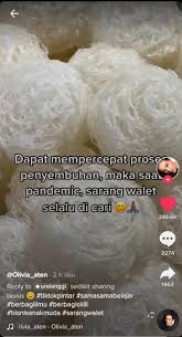 Penggunaan sarang burung di kalangan ibu mengandung telah menunjukkan hasil yang memberi manfaat kepada kandungan dan ibu, terutama sistem imun mereka. Terungkap Ini Alasan Mengapa Sarang Burung Walet Dibanderol Jutaan Rupiah