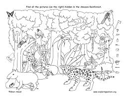 Select from 36013 printable coloring pages of cartoons, animals, nature, bible and many more. Amazon Rainforest Ll Hidden Picture