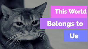 You may wanna save the link for later too, 'cause rumor has it. Funny Animal Moment Home Facebook