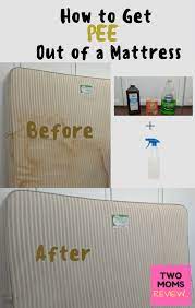 How To Get Pee Out Of A Mattress In 5 Easy Steps