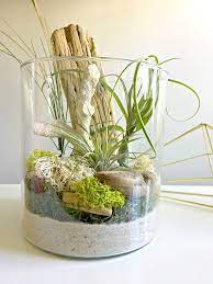 Large Air Plant Terrarium Glass Vase Living Decor Diy Kit Gift For Any Occasion Beach Terrarium Large Air Plants Air Plant Terrarium Air Plants