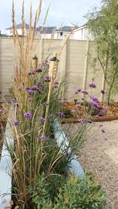 Pin On Garden