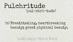 Wordpress Com Aesthetic Words Word Definitions Word Nerd