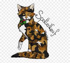 Warrior cat coloring pages remix: Warrior Cats Coloring Pages Spottedleaf Spotted Leaf Warrior Cats Free Transparent Png Clipart Images Download