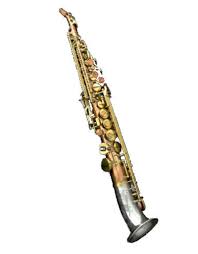 Image result for Commelina saxosa