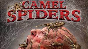 No place is safe no one is beyond their paralyzing sting. Aicn Horror Looks At New Horrors Corman S World The Gruesome Death Of Tommy Pistol Camel
