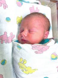 Top Stories from 2022