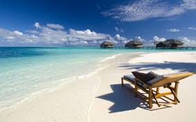 300 Chair Hd Wallpapers Background Images Wallpaper Abyss