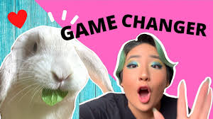 Sometimes when a bunny is scared or angry, it will urinate on its owners bed or pillow. How To Bond With Your Rabbit In 1 Step Why Is My Bunny Being Aggressive Youtube
