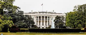 For claims of copyright infringement, please contact the movie db. Movie Trailer Safeguard An Electoral College Story Alaska Policy Forum