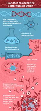 Vaccinate me this is one of the most reliable websites to know the latest details on slots open for it will alert the user about the availability of the vaccine slot via a registered number and email id. Adenoviral Vector Vaccines For Covid 19 A New Hope Promega Connections