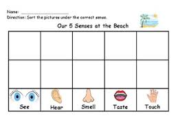 5 Senses Sorting Chart