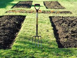 It can be a vegetable garden or a herb garden or both. How To Grow Fruits And Vegetables In Your Garden Hgtv