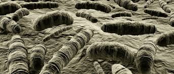 Mal De Gorge Persistant Quelles En Sont Les Causes