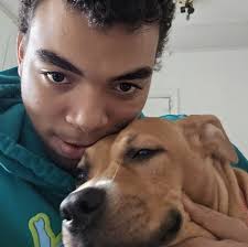 Chicago Franchise Quarterback Performance