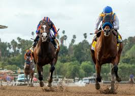 Check spelling or type a new query. Nadal Triumphant In San Vicente Stakes At Santa Anita Daily News