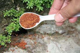30 Natural Home Remedies To Get Rid Of Ants From Home Garden Get Rid Of Ants Rid Of Ants Kill Ants