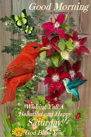 We did not find results for: 50 Good Morning Happy Saturday Quotes Weekend Images Gif Blessings To Share