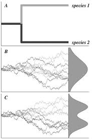 Check out the latest pictures, photos and images of rafael benitez and francisco de miguel moreno. Phylogenetic Comparative Analysis A Modeling Approach For Adaptive Evolution The American Naturalist Vol 164 No 6