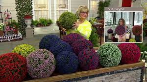 Maybe you would like to learn more about one of these? Wicker Park Set Of 2 11 13 15 Indoor Outdoor Faux Spheres On Qvc Youtube