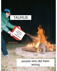 Pin On Taurus