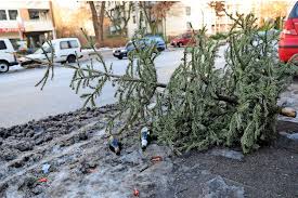 Was sind ihre eltern von beruf? Weihnachtsbaum Muss Weg Das Sind Die Abholtermine
