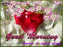 With tenor, maker of gif keyboard, add popular good morning animated gifs to your conversations. Lovely Good Morning Animation Images For Whatsapp And Facebook Good Morning Animation Good Morning Animated Images Good Morning Gif Animation