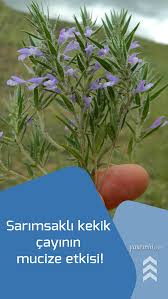 Saglik Panosundaki Pin