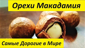 ÐšÐ°Ñ€Ñ‚Ð¸Ð½ÐºÐ¸ Ð¿Ð¾ Ð·Ð°Ð¿Ñ€Ð¾ÑÑƒ Ð¼Ð°ÐºÐ°Ð´Ð°Ð¼Ð¸Ñ;