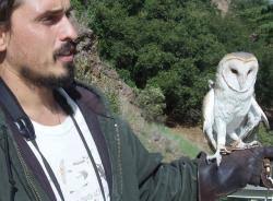Keeping up with S.F.'s champion birder