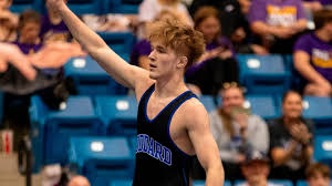 2017 All-League Softball Teams