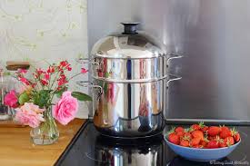 J Ai Teste Le Vitaliseur De Marion Helene Lamon Naturopathe Naturopathie Cuisson Des Aliments Alimentation