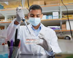 Image of Postdoctoral research in a lab