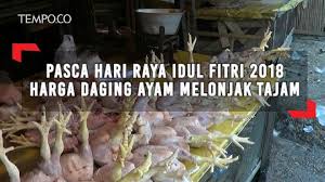 Harga kebutuhan pokok di padang hari ini senin 21/6/2021, cek telur, bawang putih dan tomat. Dampak Cuaca Dingin Harga Daging Ayam Dan Telur Naik Drastis Bisnis Tempo Co